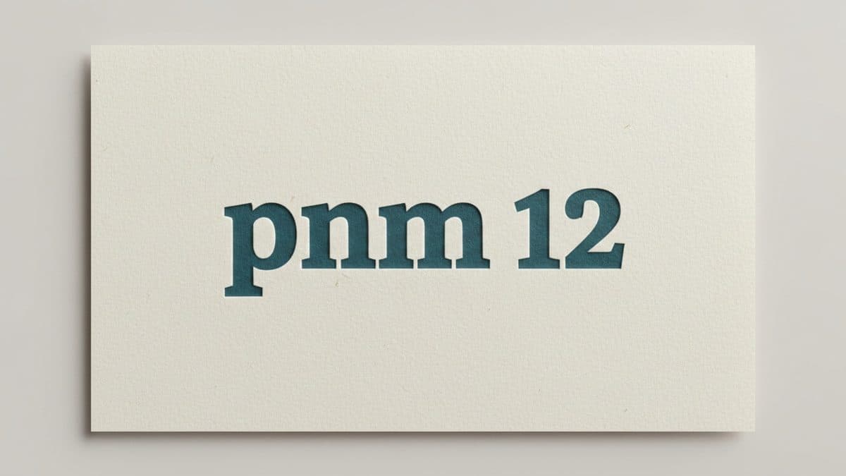 pnpm 12 Was Rewritten in Rust and Promises Faster Installs in CI Without Changing the Workflow