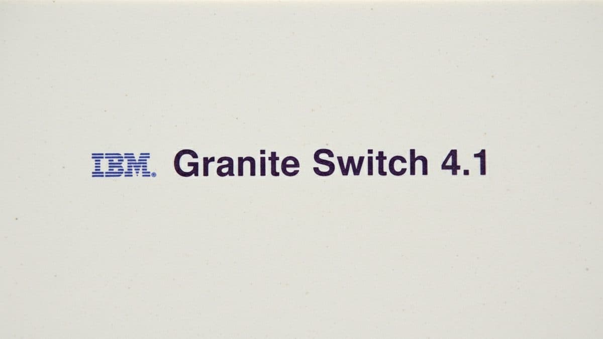 IBM's Granite Switch 4.1 brings chat, decisions, and speech together in a single endpoint